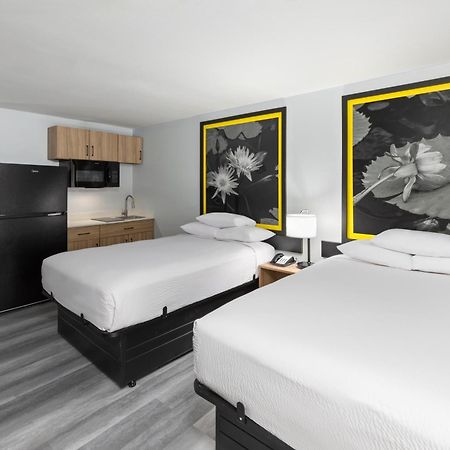 Super 8 By Wyndham Alexandria La Hotel Екстериор снимка
